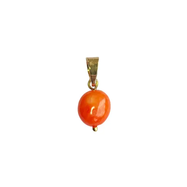 Bedel bamboekoraal Oranje