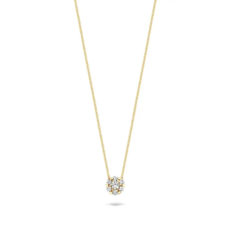 Blush ketting 14k goud 3097YZI