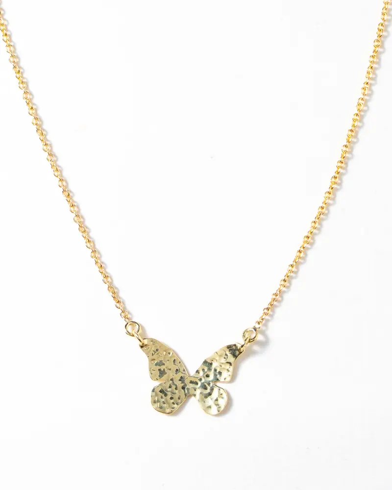 Fijne ketting met vlinder