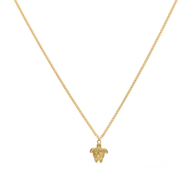 Gouden ketting met schildpad