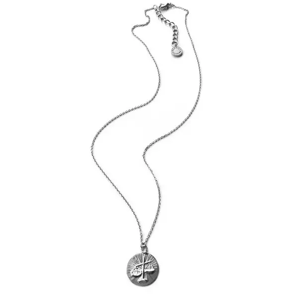 Ketting sterrenbeeld zilver