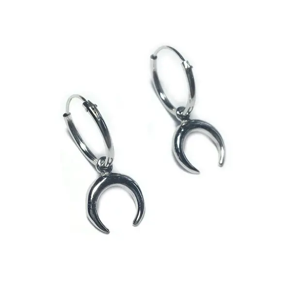 Oorringen Zilver Double horn