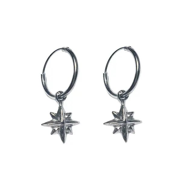 Oorringen Zilver Morningstar