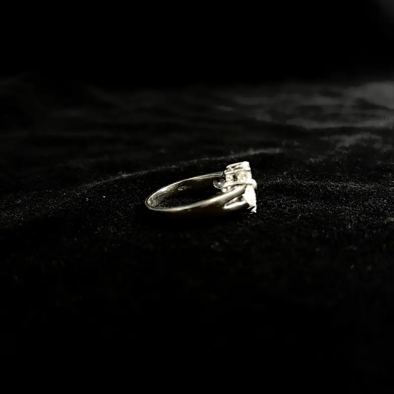 Silver Embrace Ring - Silver 925