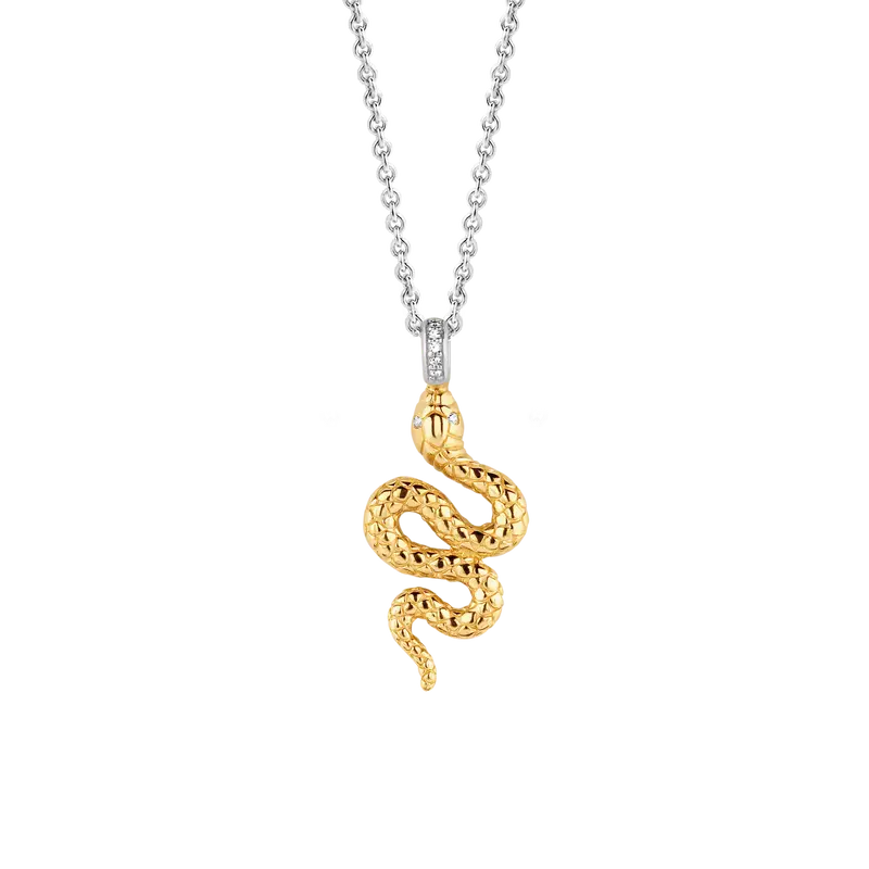 Snake Ketting