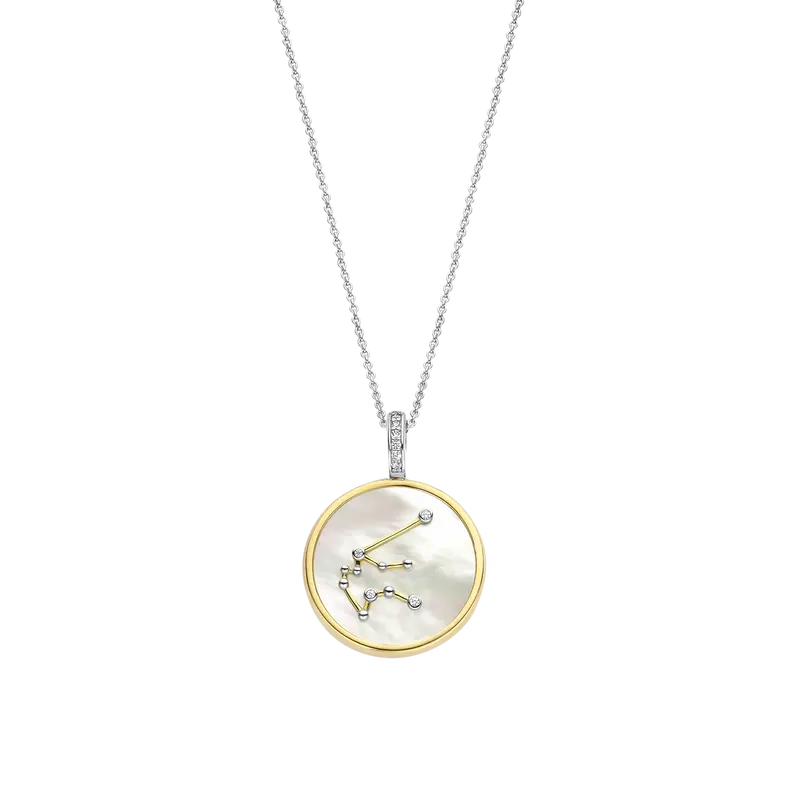 Sterrenbeeld Ketting met hanger - Waterman