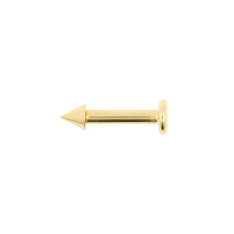 Titanium Flatback Stud Met Spike Goud
