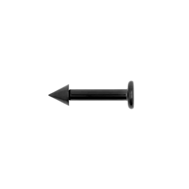 Titanium Flatback Stud Met Spike Zwart