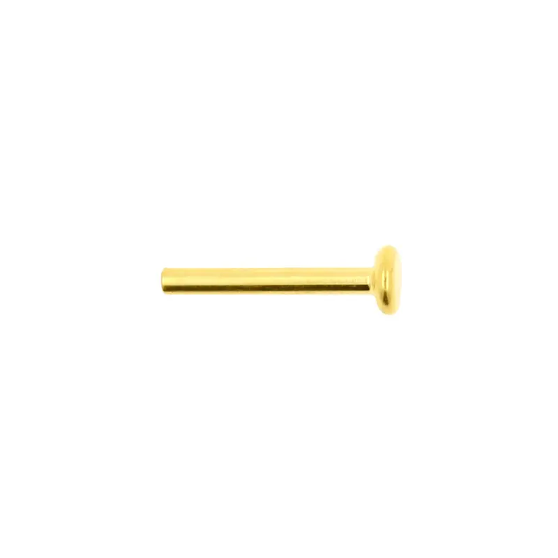 Titanium Labret Stud 2,5 mm Disc - Goud