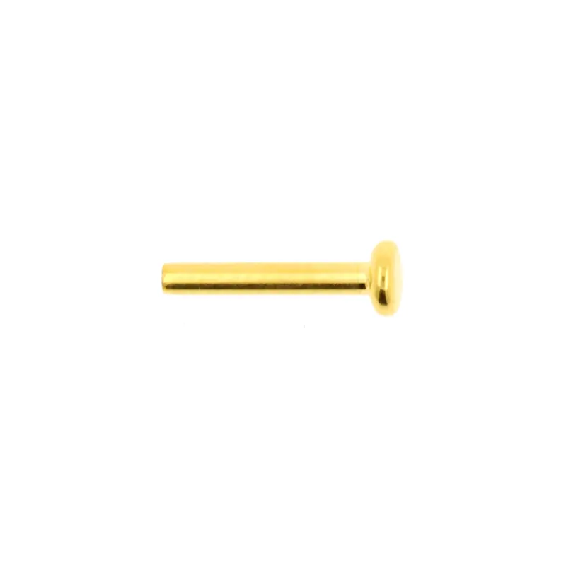Titanium Labret Stud 3 mm Disc - Goud