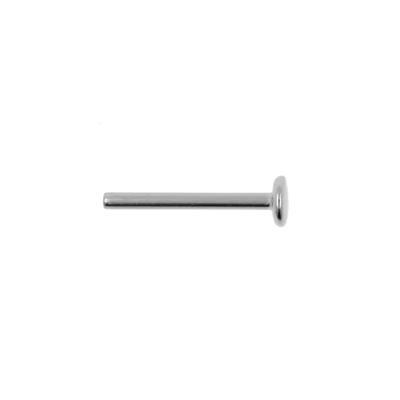 Titanium Labret Stud - Zilver