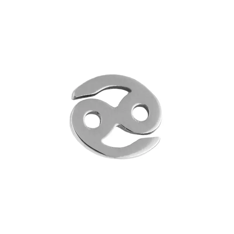 Titanium Sterrenbeeld Kreeft Zilver