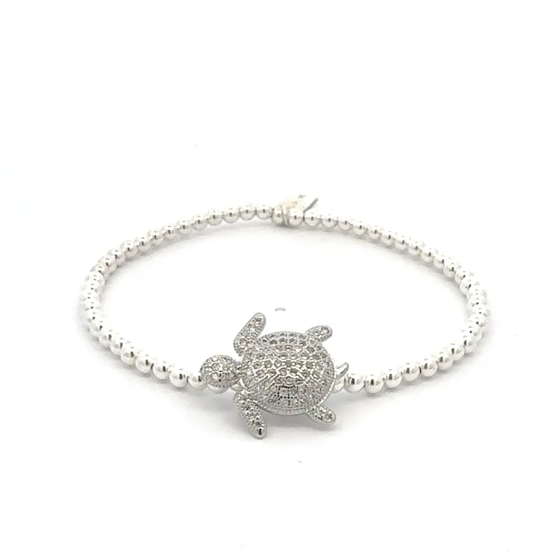 Turtle cc silver
